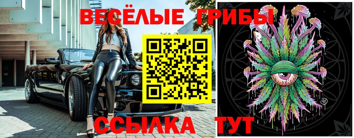 Галлюциногенные грибы GOLDEN TEACHER Качканар